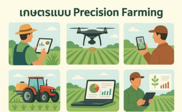 เทคนิคการวิเคราะห์ข้อมูลเพื่อการเกษตรแบบ Precision เกษตรแบบ Precision Farming